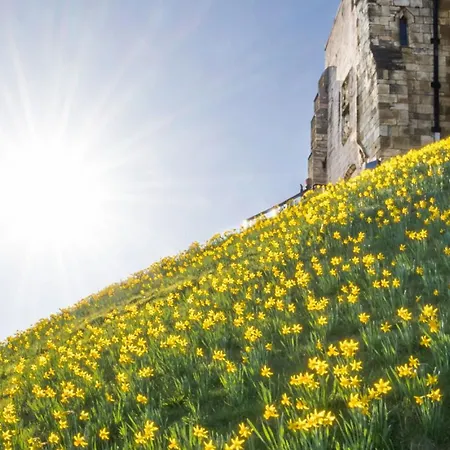 The Old Farm Shop 度假居 斯卡伯勒