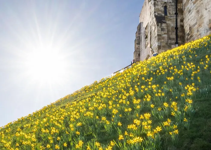 The Old Farm Shop Holiday home Scarborough